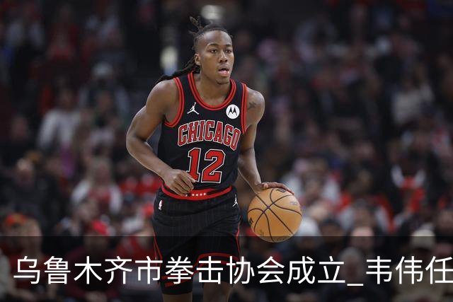 乌鲁木齐市拳击协会成立 韦伟任会长